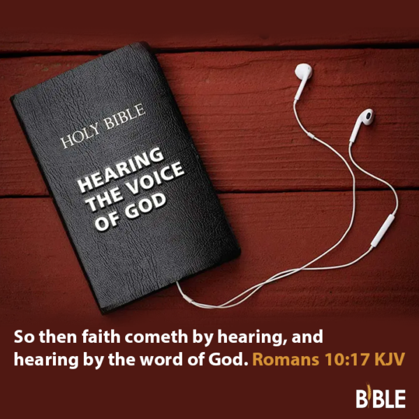 Romans Bible Verse Of The Day Biblemeal