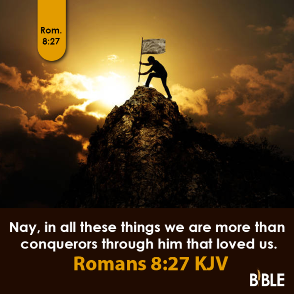 Romans Bible Verse Of The Day Biblemeal