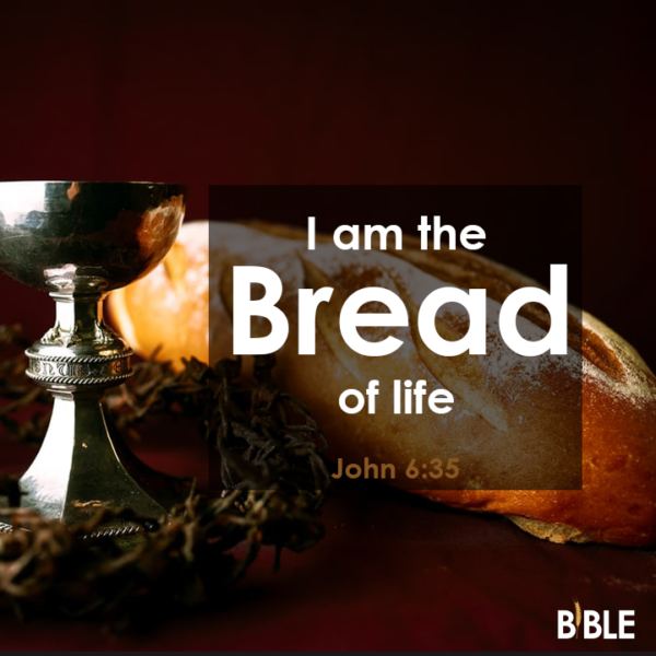 John 6:35 Bible Verse of The Day - Biblemeal