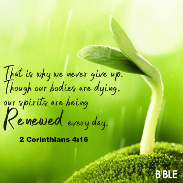 2 Corinthians 4:16 Bible Verse of The Day - Biblemeal