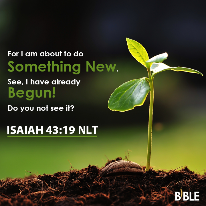 Isaiah 43:19 - Bible Verse of The Day - Biblemeal